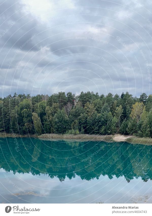 Trees on lake reflected in blue water under cloudy sky trees Trees in the lake Forest Edge of the forest Forest atmosphere Lake Lakeside Forest lake seawater