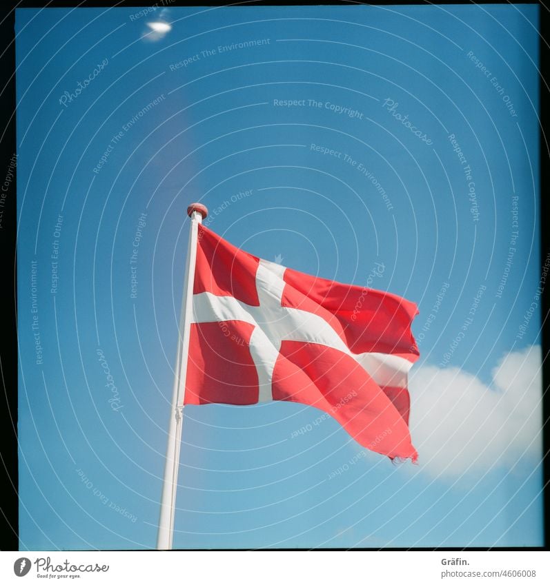 Danish summer weather Denmark flag Blue sky Beautiful weather Analog analog photography Medium format Flag of Denmark Sky Exterior shot Colour photo Day Nature