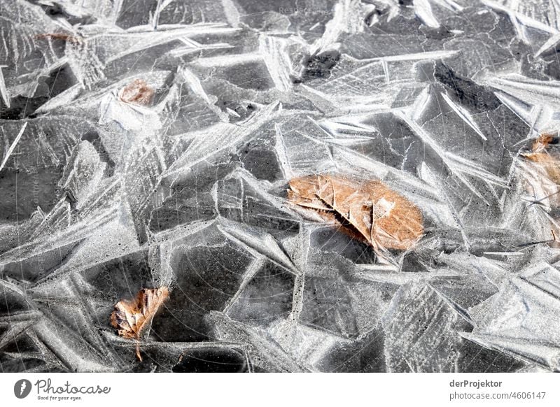 Frozen water in Friesland I Unwavering Vacation & Travel Tourism Trip Far-off places Environment Joie de vivre (Vitality) Life Channel Exterior shot