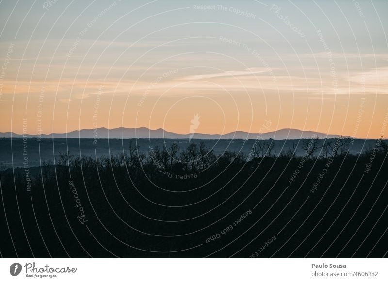 Sunrise landscape sunrise landscape Landscape Winter Nature Tree Sunset Sky Dawn Morning Exterior shot Colour photo Sunbeam Sunlight Deserted Cold Multicoloured