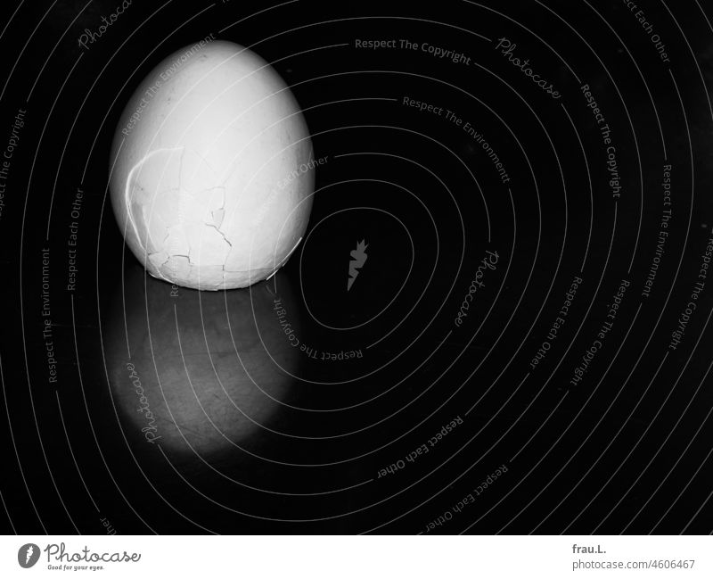 Egg, boiled Hen's egg seethed posted reflection Nutrition Food Eggshell High-grade steel worktop Organic produce organic egg Brother egg Kitchen Burst