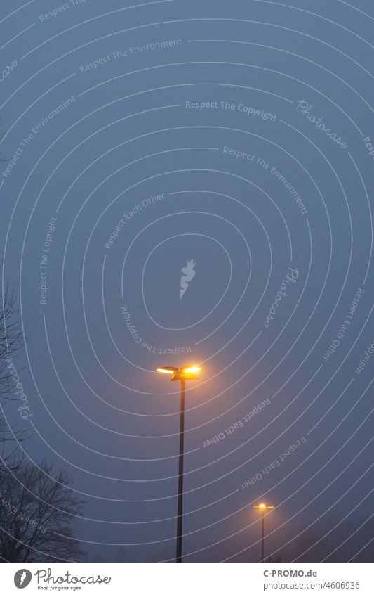 Lantern in twilight and fog Light Copy Space Fog Exterior shot Street lighting Deserted Lamp post Lighting Sky Twilight