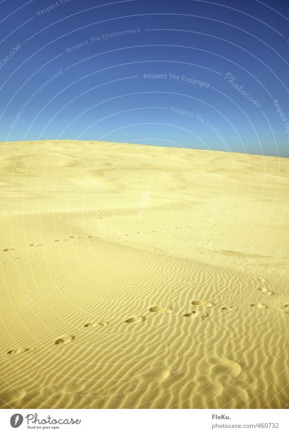 Through the desert, please! Vacation & Travel Tourism Trip Adventure Far-off places Summer Summer vacation Sun Environment Nature Landscape Elements Earth Sand