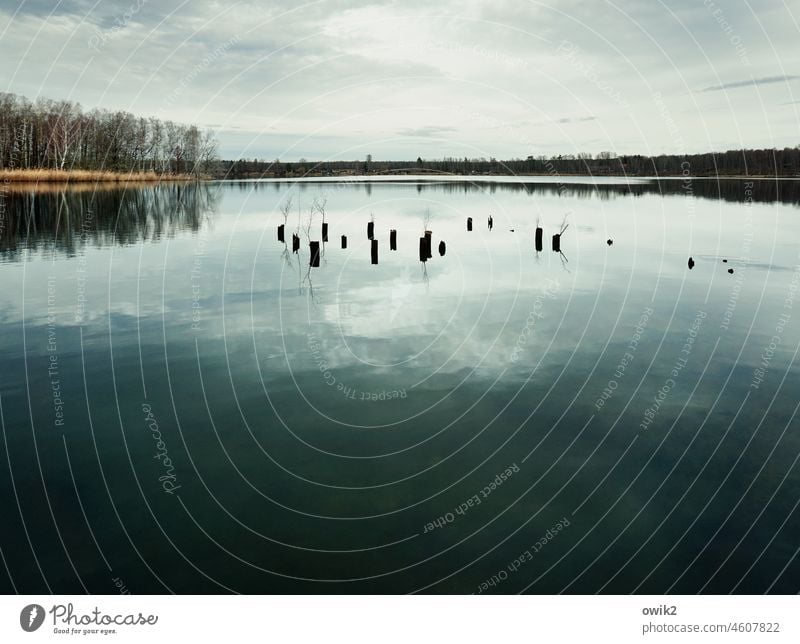 Viking Chess Lakeside Water Surface of water Peaceful Weightlessness Mysterious Freedom Silhouette Water reflection Glittering Wood groynes Far-off places