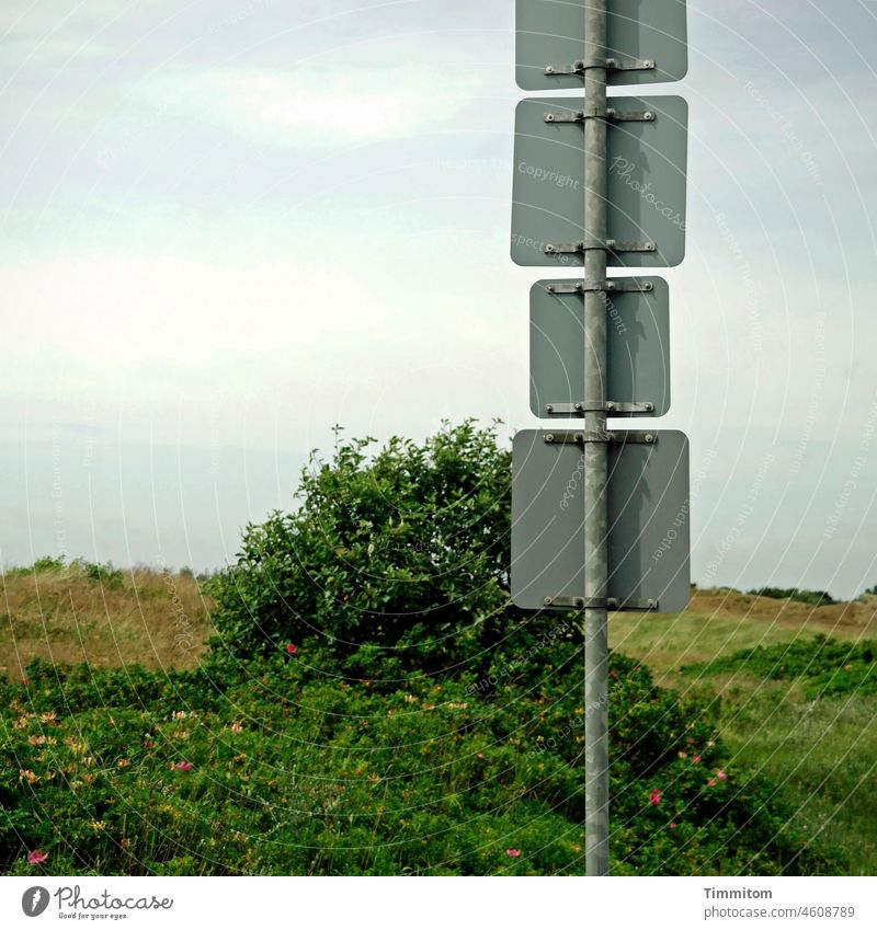 Four traffic signs - no special indications on the reverse side Road sign Traffic signs 4 pole Metal Rear side Fastening dunes Sky Clouds Wood anemone Green