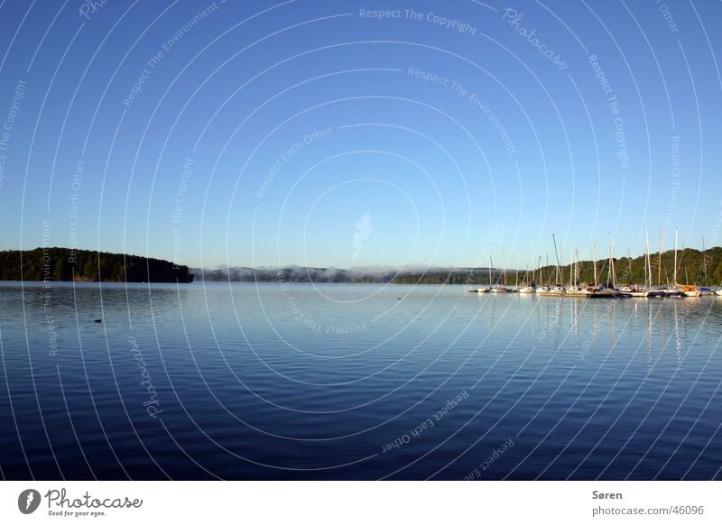 the lake Lake Sauerland Watercraft Sailing Tree Lake Baggersee Reservoir Plant Animal Fog Summer Summery Calm Panorama (View) Beach Waves Swell Body of water