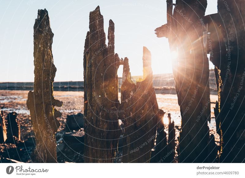 Coastal protection with dike in Friesland Unwavering Vacation & Travel Tourism Trip Far-off places Environment Joie de vivre (Vitality) Life Channel