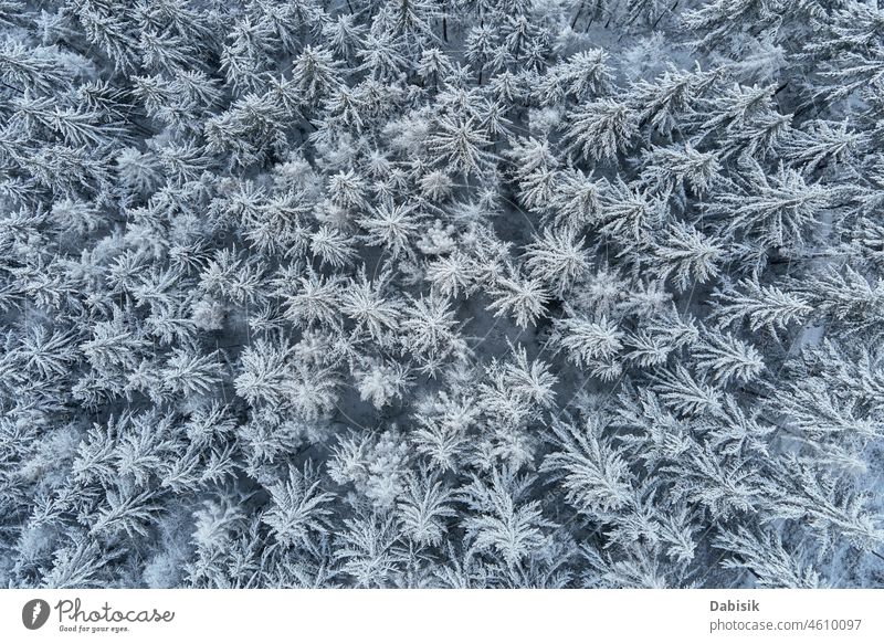 Beautiful winter forest with snowy trees, aerial view landscape mountains winter landscape nature abstract backdrop background beautiful cold day drone