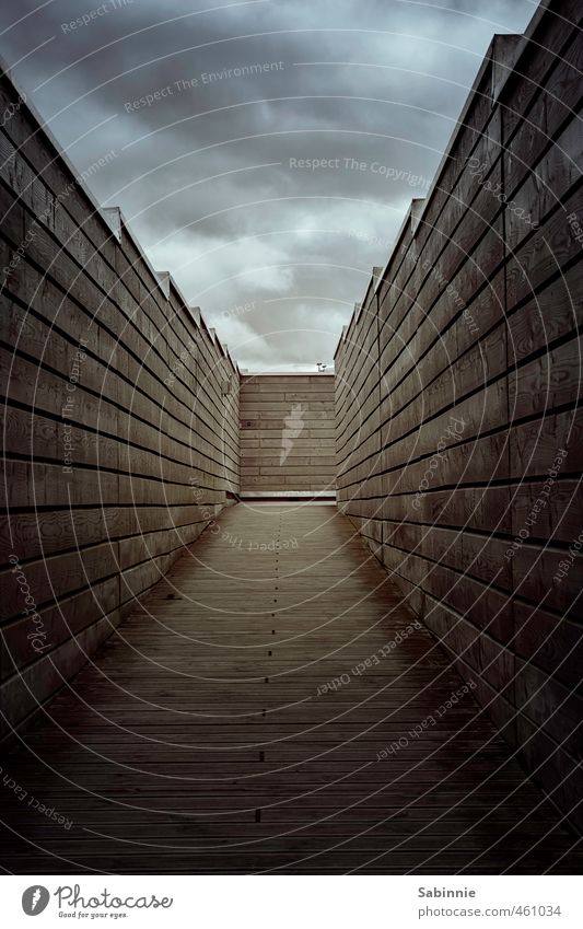 No light at the end of tunnel II Scotland Tunnel Manmade structures Building Wall (barrier) Wall (building) Gloomy Brown Protection Fear Fear of the future