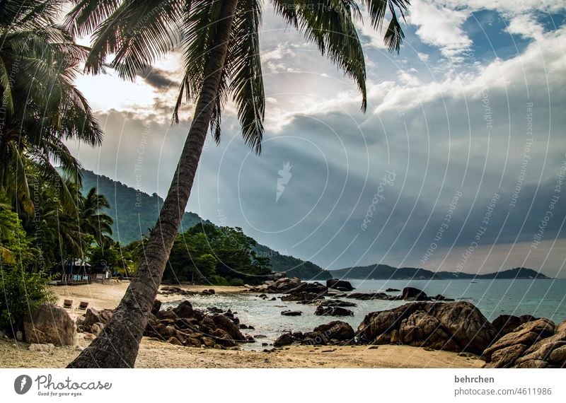 paradise Paradise Raincloud Storm Far-off places Vacation & Travel Nature Landscape Sky Clouds Sun Palm tree Virgin forest Rock Mountain Waves coast Beach