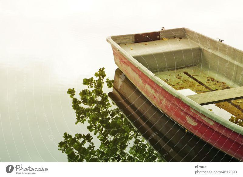 Beauty in the eye of the beholder I old, desolate rowboat on the shore of a quiet lake, in whose water also branches of a tree are reflected / melancholy / transience