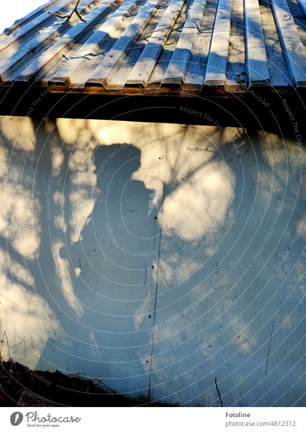 When the Fotoline sneaks quietly behind a small losten gazebo, it also sometimes secretly casts shadows on the wall! Shadow Bright Dark Silhouette Woman