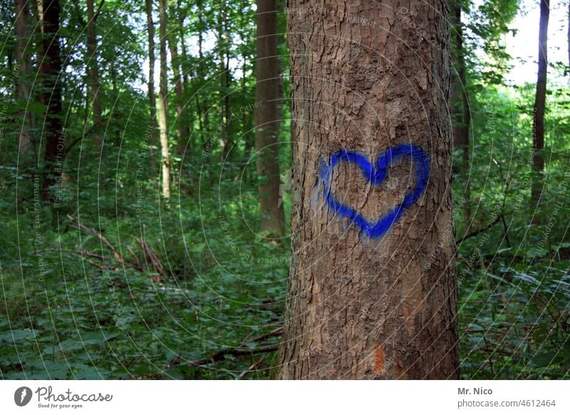 tree tattoo Romance Love Sign Heart Nature Tree heart-shaped Infatuation Declaration of love Symbols and metaphors Sincere With love Display of affection