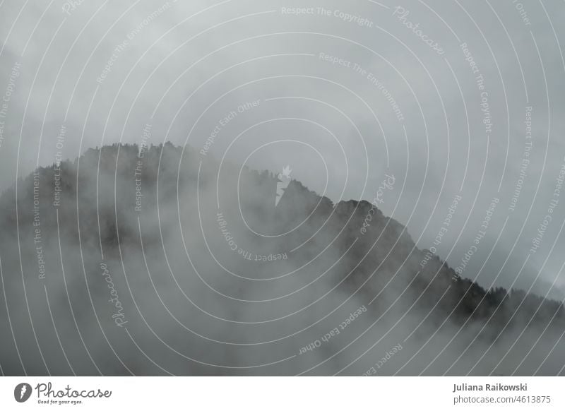 Mountain in autumn fog Copy Space top Plant Apocalyptic sentiment Gray Bad weather Climate Green Calm Idyll Bavaria Germany Alps chill Vantage point Sadness