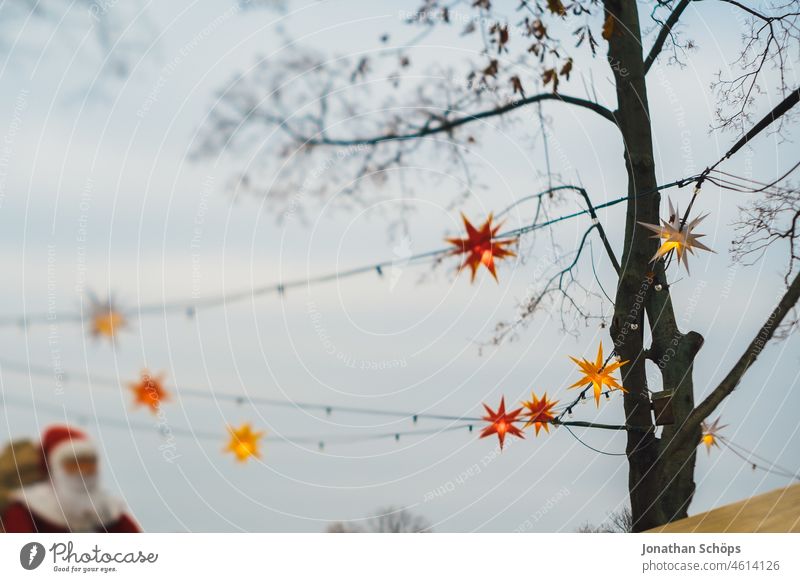 Poinsettias in bare tree in winter Christmas star Tree Bleak Winter Dreary cloudy skies Sky Red Illuminate Herrnhuter Star branches tilt blurriness bokeh Hang