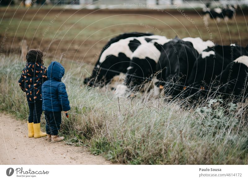 Brother and sister watching cows Brothers and sisters Child childhood two people Caucasian 1 - 3 years 3 - 8 years Playing Together Day Family & Relations