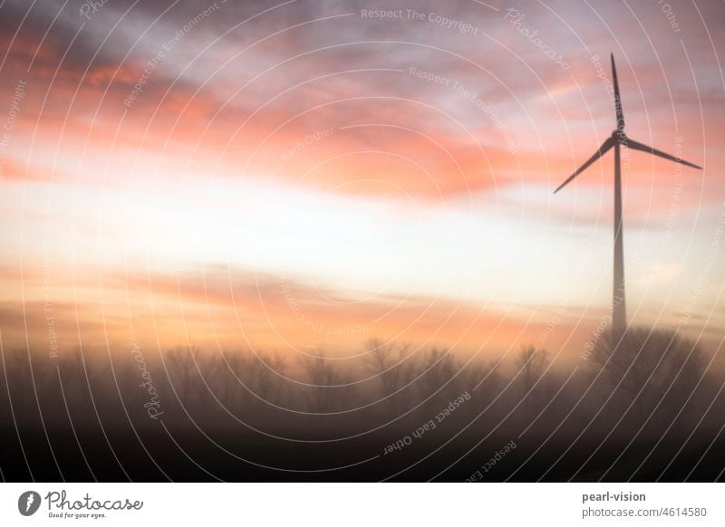 Wind turbine at sunrise Sunrise Wind energy plant wind power Sky Landscape Fog Hazy Renewable energy Environment Alternative Eco-friendly Edge of the forest