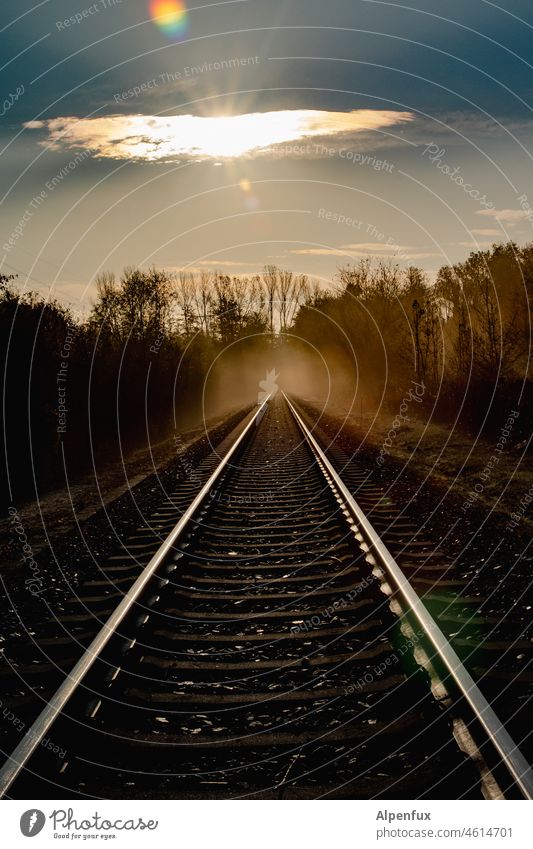 Anywhere. Rail transport Railroad tracks Sunrise Lanes & trails Deserted Transport path of life Exterior shot Colour photo Train travel Traffic infrastructure