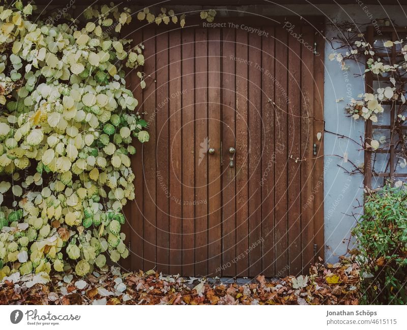 Wooden gate on gazebo door Goal Arbour Overgrown Green Autumn Vine vine Wall (building) Facade Garden Entrance Way out Exterior shot Deserted Building