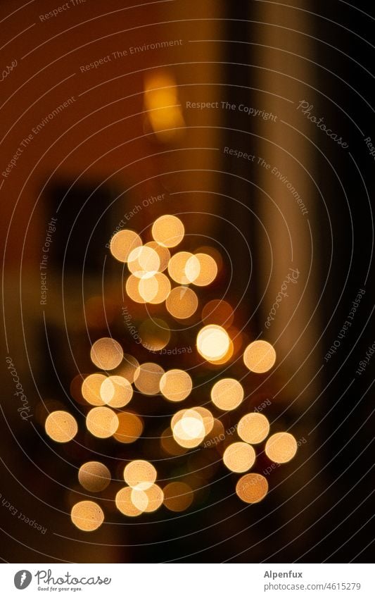 Light and shadow Light (Natural Phenomenon) Fairy lights Christmas & Advent Colour photo blurriness Illuminate Feasts & Celebrations Christmas fairy lights