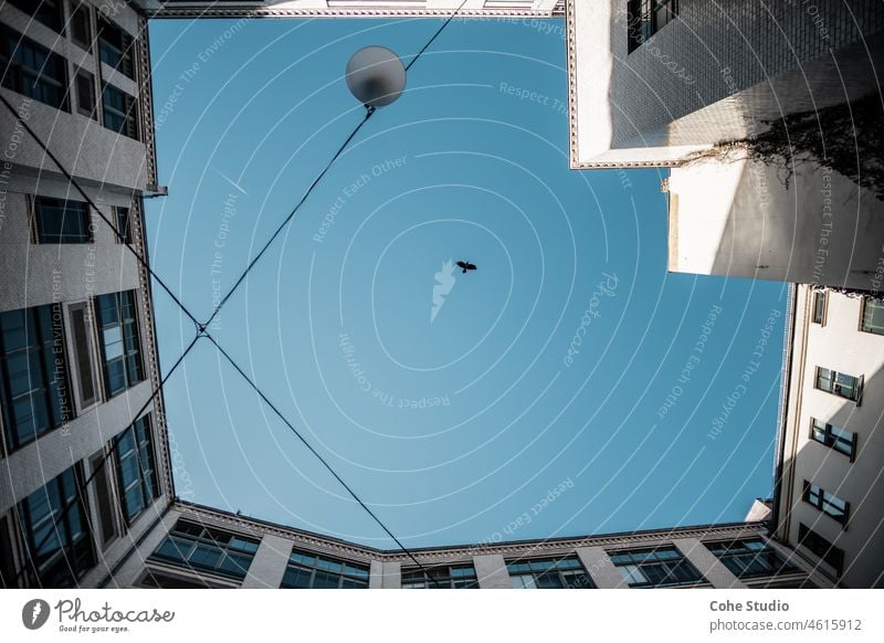 A bird in the blue sky between four walls Architecture Building Town Bird Blue sky Sky Window Wall (building) urban House (Residential Structure)