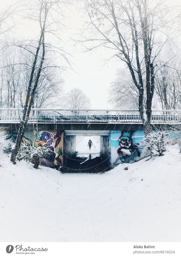 Walk in the snow To go for a walk Snow Underpass Graffiti Bridge Exterior shot Colour photo Winter Winter mood winter chill book cover Landscape Cold