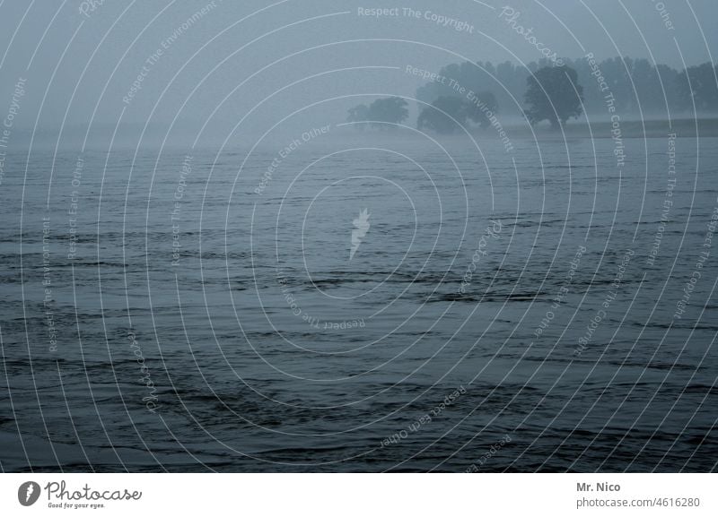 Fog atmosphere on the Rhine River River bank Landscape Misty atmosphere Water Tree Loneliness Flood Nature Environment Body of water Morning Dawn Gray Calm