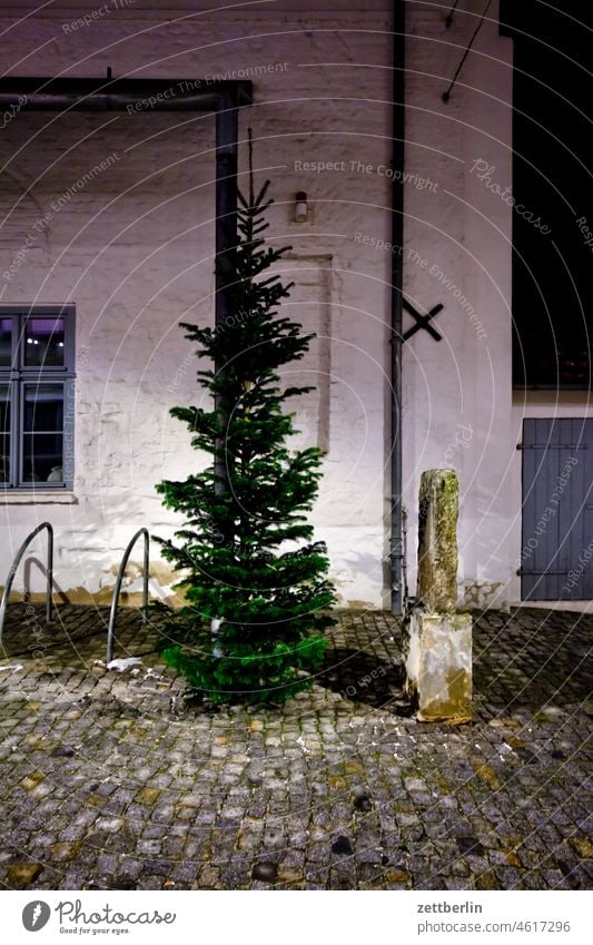 Wolgast, Christmas decoration Evening Window Hanseatic League Hanseatic City House (Residential Structure) Small Town Mecklenburg Night Shop window