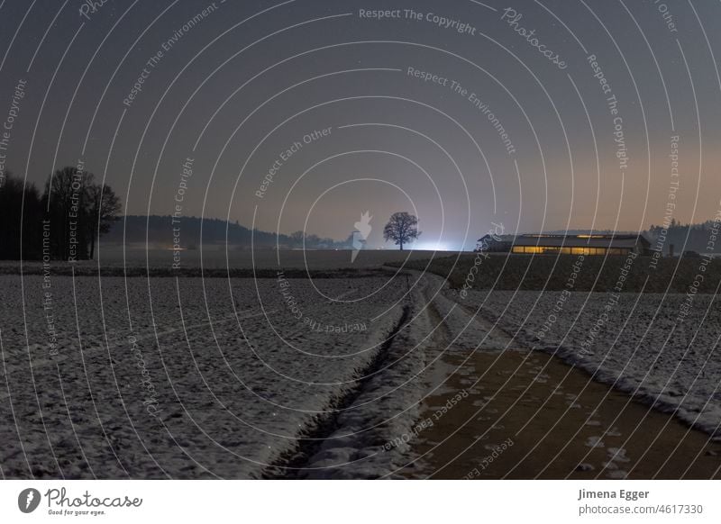 Field and path with snow in the evening with agricultural lighted farm in the background Winter Snow Field path" Agriculture agricultural land Tree cold season