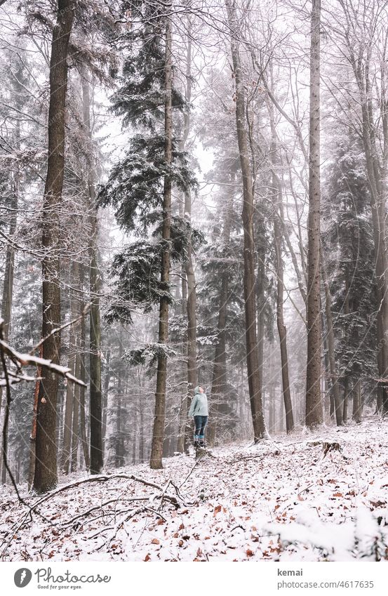 Man in winter forest Forest Winter forest trees Tree stump Human being Woman Stand look Cold snowy Snow snow-covered Winter's day Winter mood White chill