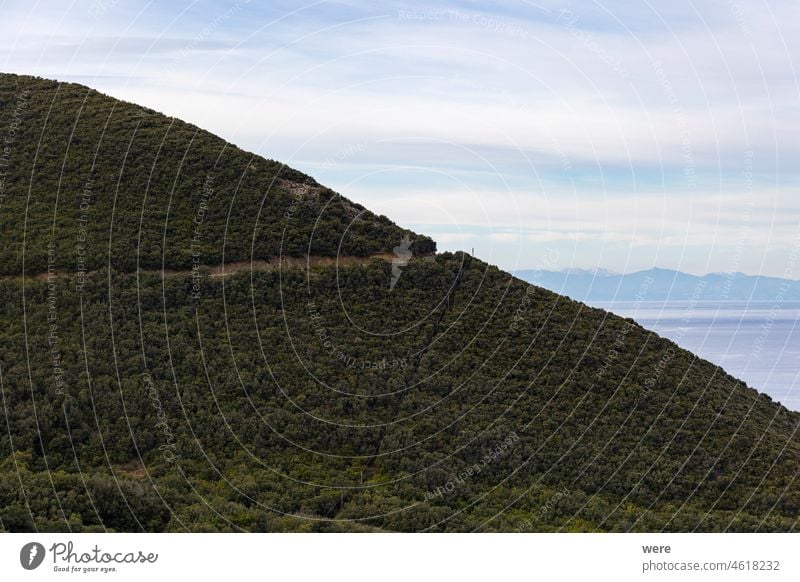 View over Colle d' orano village on Elba island in Italy and the sea in the morning Holiday Italian city Sea Tuscany banishment copy space drip drowning humid