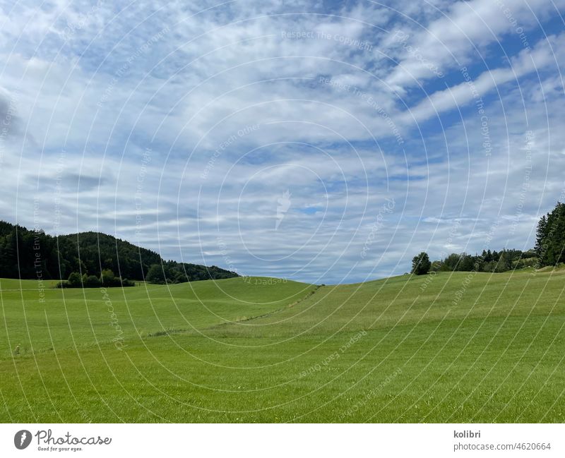 Green meadows, slightly hilly, in the distance in the middle of the horizon, forest to the side. A small path leads from the left into the middle of the meadow. Blue sky, slightly cloudy.