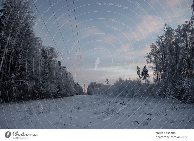 High-voltage line in the forest clearing. Really cold winter day, about 25 degree C background beautiful blue cable december distribution electric electrical