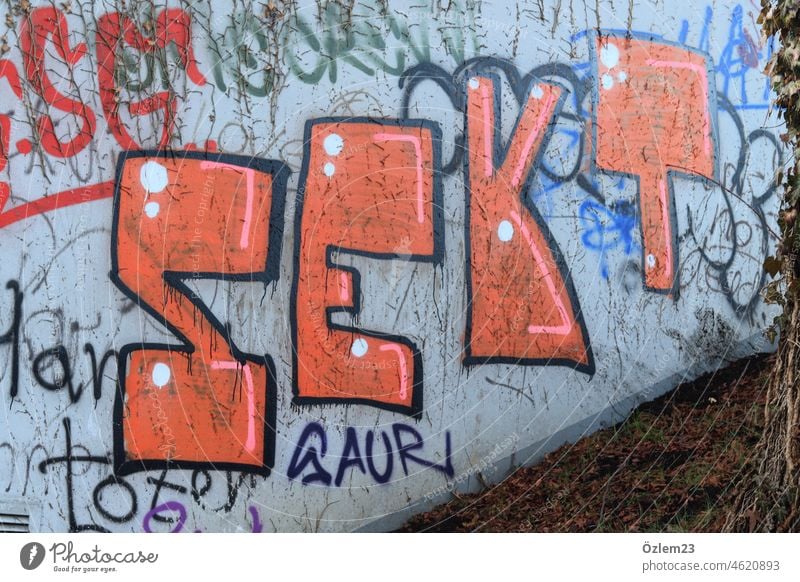 Wall fully painted with spray paint, on which is written in capital letters the word SEKT Mural painting Spray can Colour Sparkling wine Wall (barrier) Painted