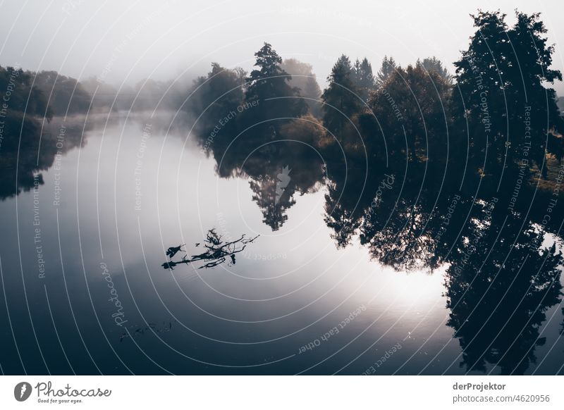 Foggy day with view from Staudernheimer bridge on the Nahe II Autumn Climate Beautiful weather Joy Moody Emotions River Tree Enthusiasm Flow Curiosity