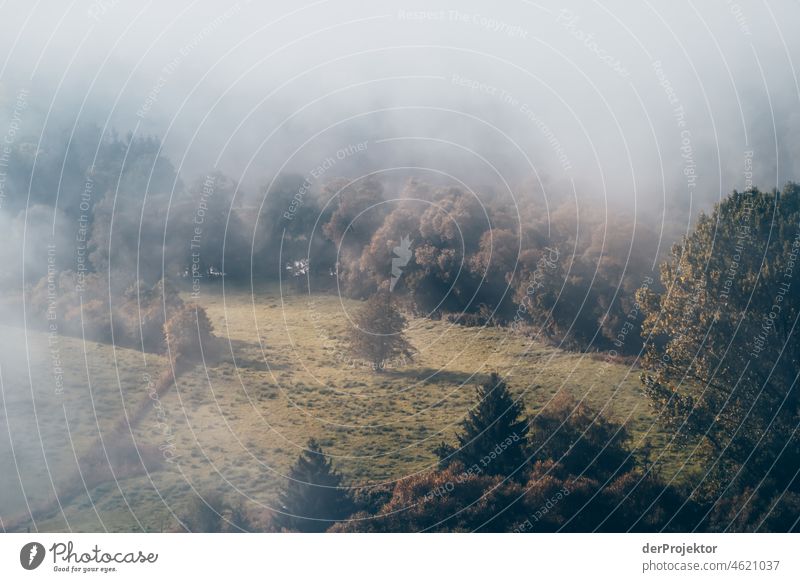 Foggy day at Disibodenberg II Autumn Climate Beautiful weather Joy Moody Emotions River Tree Nahe Enthusiasm Flow Curiosity Nature reserve Colour photo