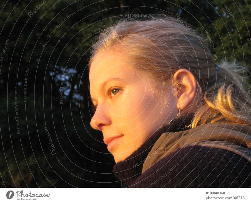 evening sun Woman Blonde Relaxation Sun Looking