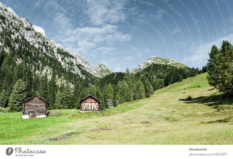 Alpine Eigenheime: Front View Vacation & Travel Sky Clouds Summer Weather Beautiful weather Tree Grass Meadow Forest Hill Rock Alps Mountain Peak Alpine pasture