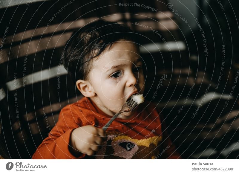 Child eating with fork childhood Boy (child) Human being Infancy Authentic Childhood memory 1 - 3 years Leisure and hobbies Caucasian Toddler Cute Joy