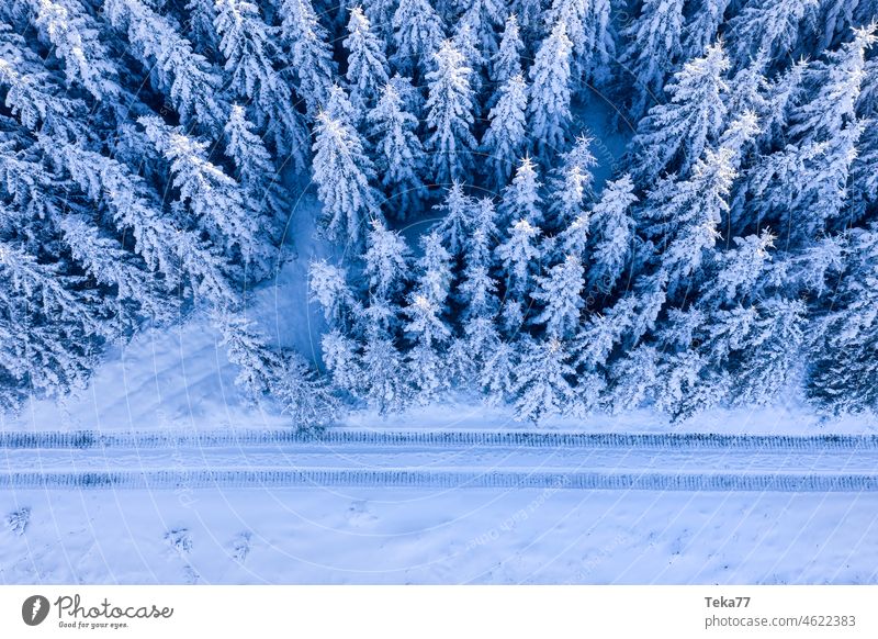 #Winter forest path Forest Nature from on high Snow ice cream Ice Cold