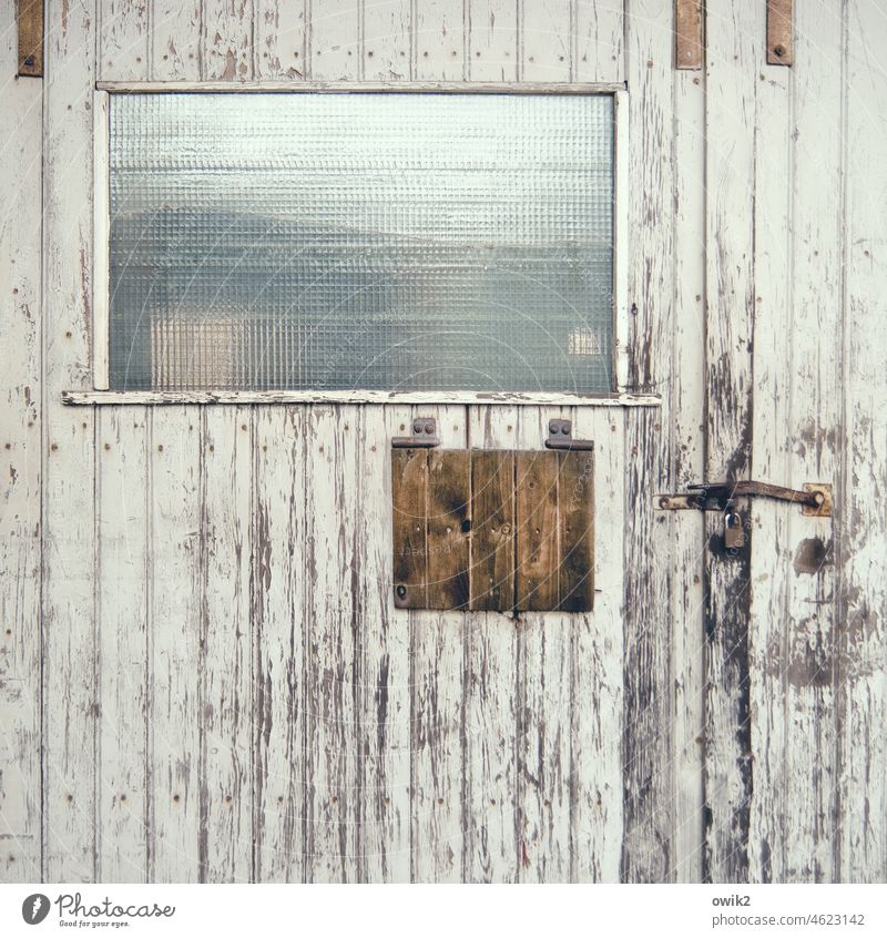 Disengaged door Old Close-up Portal Decline Shabby Derelict Wood Exterior shot dilapidated Gloomy Bizarre Abrasion Abstract Trashy Damage Tumbledown Ruin Detail