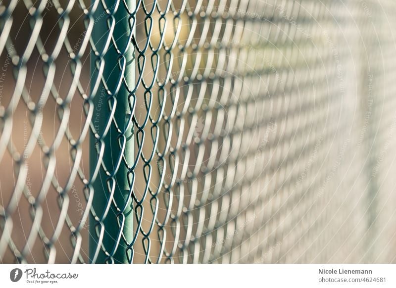 fence metal in sun wire garden green mesh background pattern white prison blue iron netting abstract texture chain link barrier wired design color rabitz art