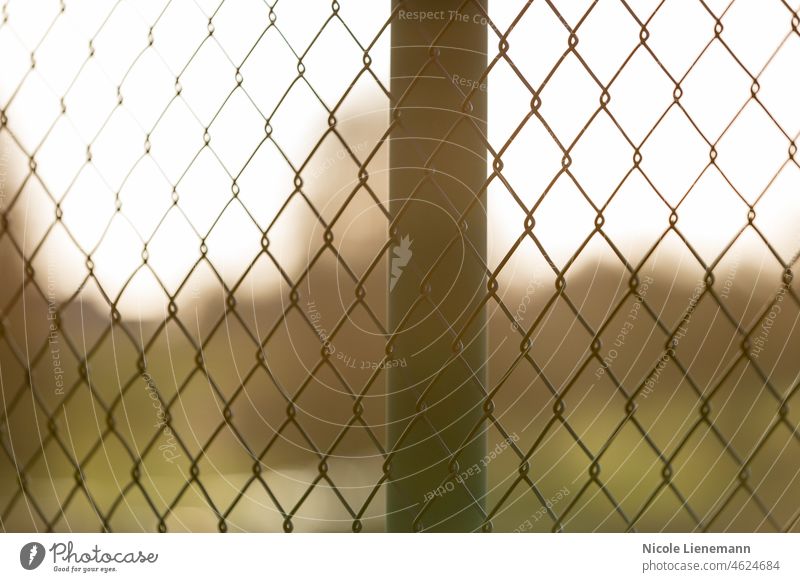 fence metal in sun wire garden green mesh background pattern white prison blue iron netting abstract texture chain link barrier wired design color rabitz art