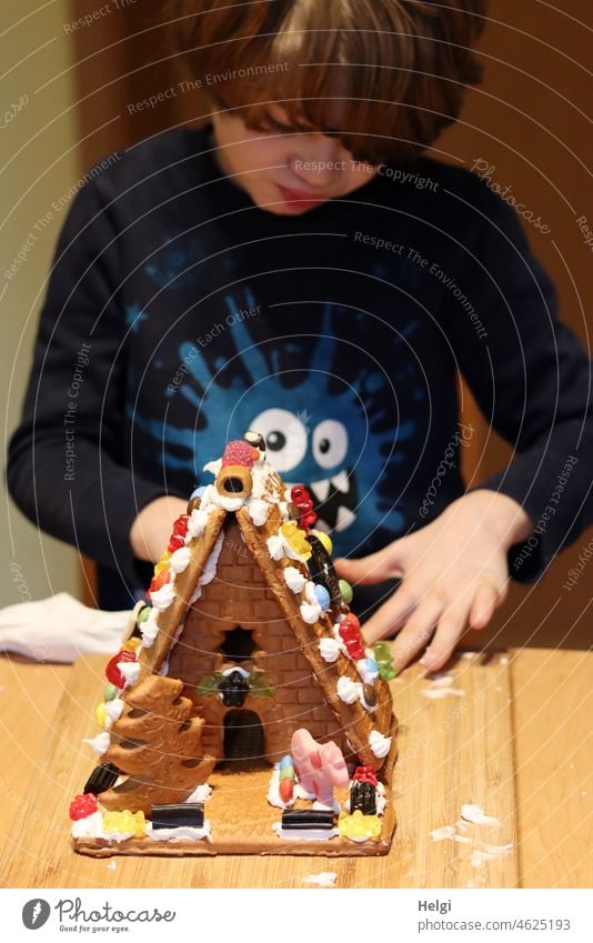 House builder - boy assembled gingerbread house and decorated with sweets Child Boy (child) Schoolchild Gingerbread Gingerbread house Sweets decoration