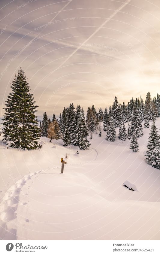 Winter landscape on the mountain Dobratsch Mountain Sky Clouds Alps Austria Exterior shot Vacation & Travel Panorama (View) Deserted Snow Peak Snowcapped peak