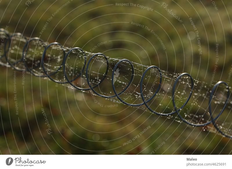 Metal spring with cobwebs and dew drops protection abstract background beauty black blade brolly bubble clean clear climate closeup condensation droplet