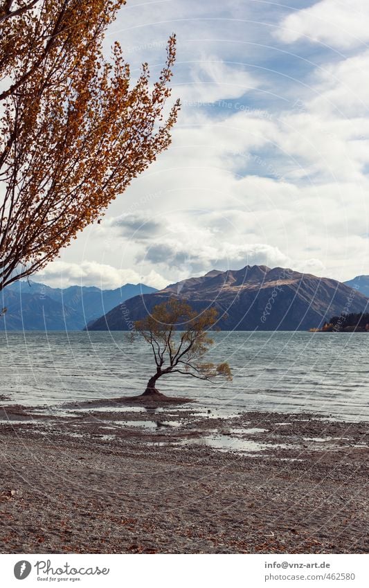 with a view Environment Nature Landscape Water Sky Clouds Sunlight Autumn Climate Weather Wind Plant Tree Park Hill Rock Alps Mountain Peak Coast Lakeside