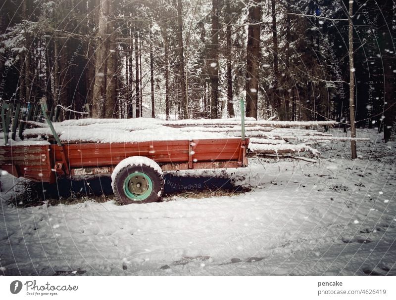 warming | firewood Forest Trailer Wood Firewood Winter Snow Stack of wood Environment Forestry Tree trunk Timber Logging Fuel Supply