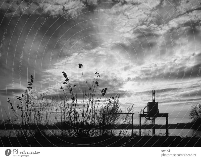 Military readiness Lake Surface of water Panorama (View) Calm Environment Nature Bushes Plant Horizon Clouds Sky Water Long shot Dark Idyll Contentment Peaceful