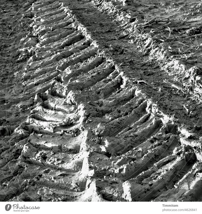 Tire tracks slush Skid marks Profile off the beaten track Light Shadow Exterior shot Tracks Tire tread Deserted Lanes & trails Black & white photo